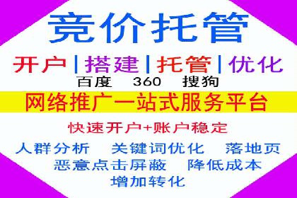 百度竞价托管公司案例分析：打造行业领军企业